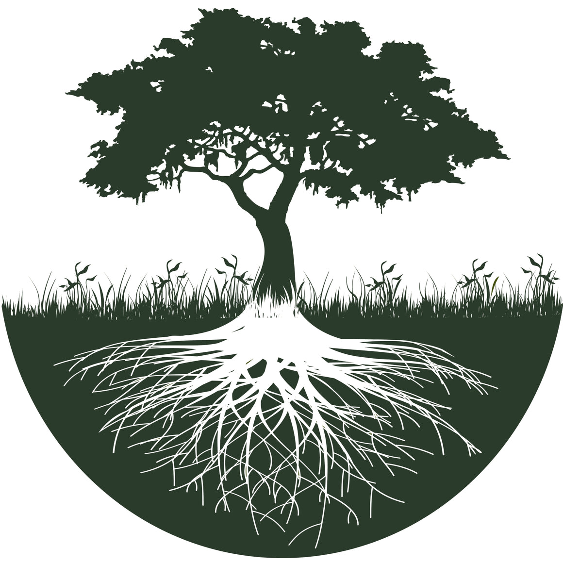The Life Tree Products